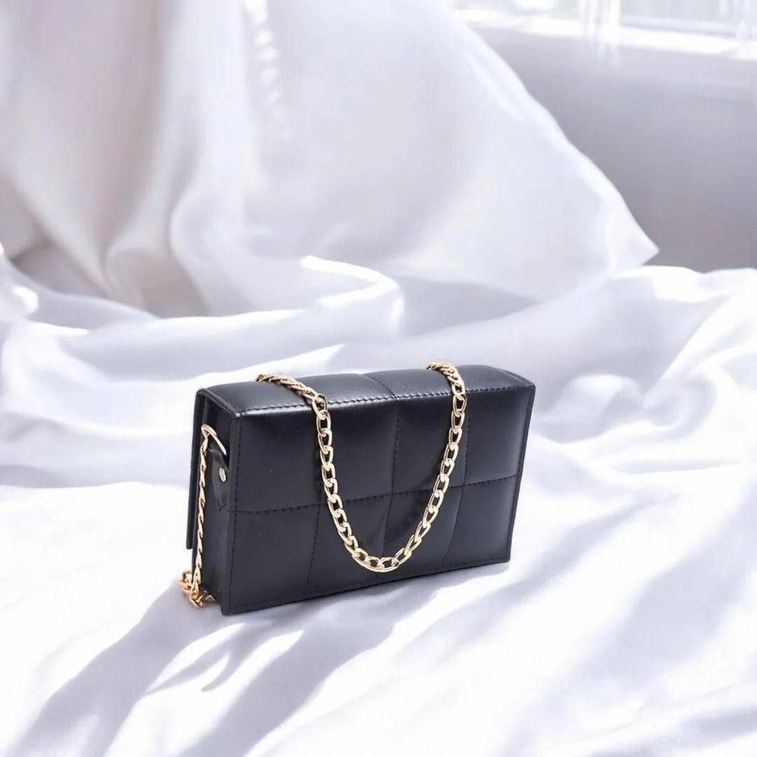 Luxury style black purse
